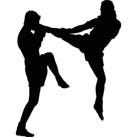武术格斗剪影