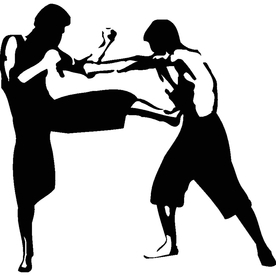 武术格斗剪影