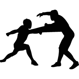 武术格斗剪影