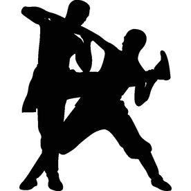 武术格斗剪影