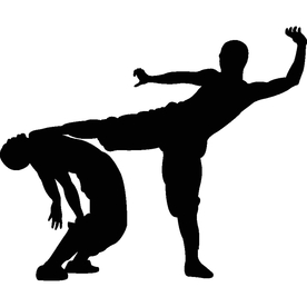 武术格斗剪影