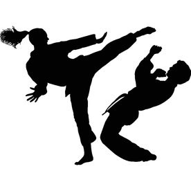 武术格斗剪影