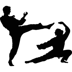 武术格斗剪影