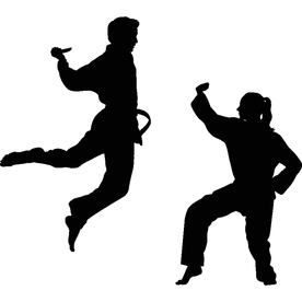 武术格斗剪影