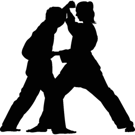 武术格斗剪影