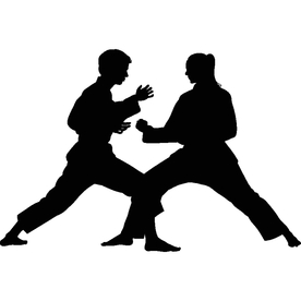 武术格斗剪影