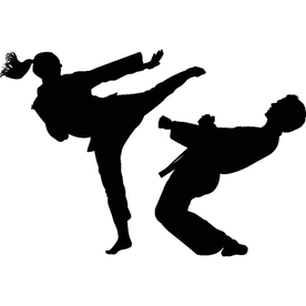 武术格斗剪影