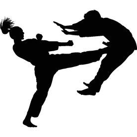 武术格斗剪影