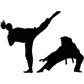 武术格斗剪影