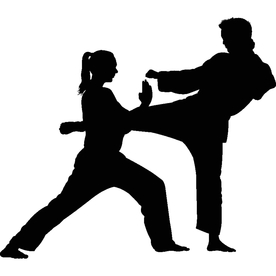 武术格斗剪影