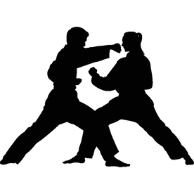 武术格斗剪影