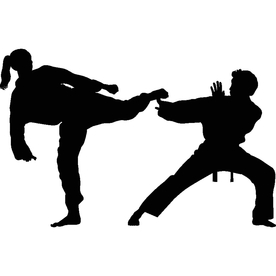 武术格斗剪影