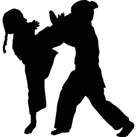武术格斗剪影
