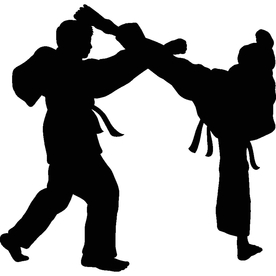 武术格斗剪影