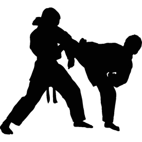武术格斗剪影