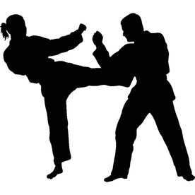 武术格斗剪影