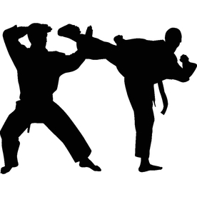 武术格斗剪影