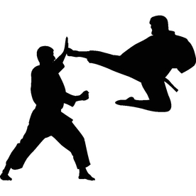 武术格斗剪影