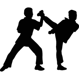 武术格斗剪影