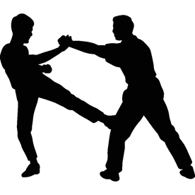 武术格斗剪影