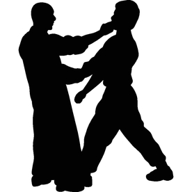武术格斗剪影