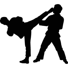 武术格斗剪影
