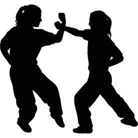 武术格斗剪影
