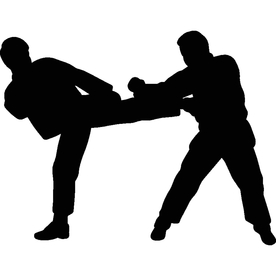 武术格斗剪影