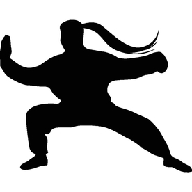 武术格斗剪影