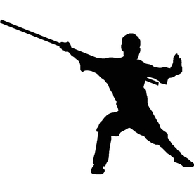 武术格斗剪影
