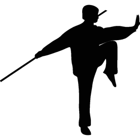 武术格斗剪影