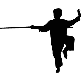 武术格斗剪影