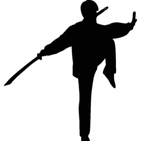武术格斗剪影