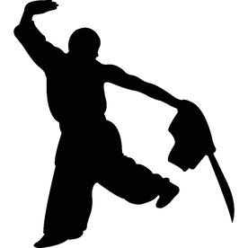 武术格斗剪影