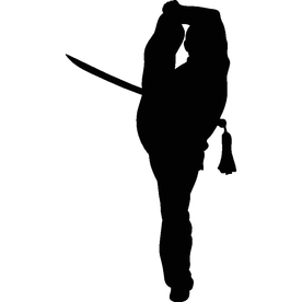 武术格斗剪影 武术剪影 格斗剪