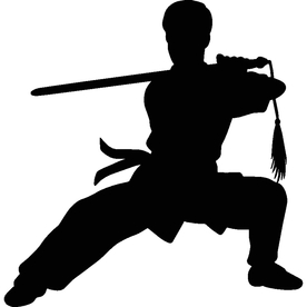 武术格斗剪影