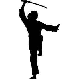 武术格斗剪影
