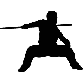 武术格斗剪影