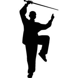 武术格斗剪影