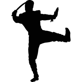 武术格斗剪影