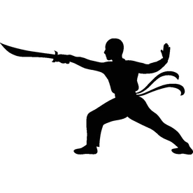 武术格斗剪影