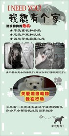 创意海报设计