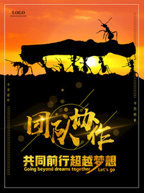 公司文化
