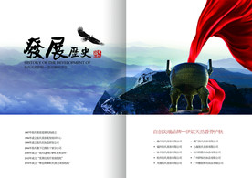 公司文化