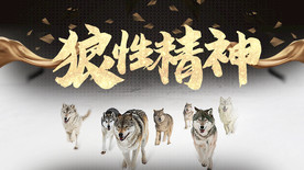 公司文化