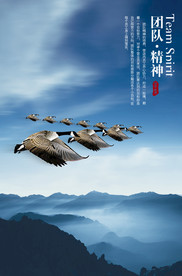 公司文化