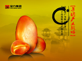 公司文化