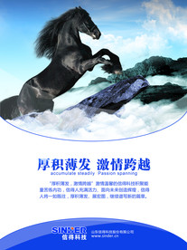 公司文化