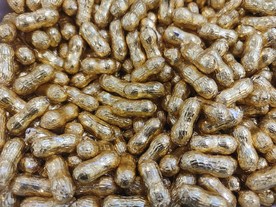 年货巧克力糖果