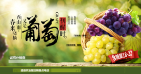 葡萄水果促销活动宣传海报素材